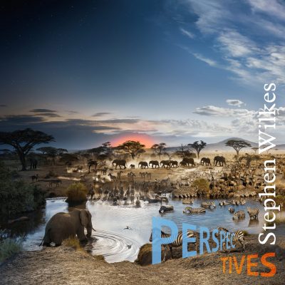 Perspectives_Wilkes