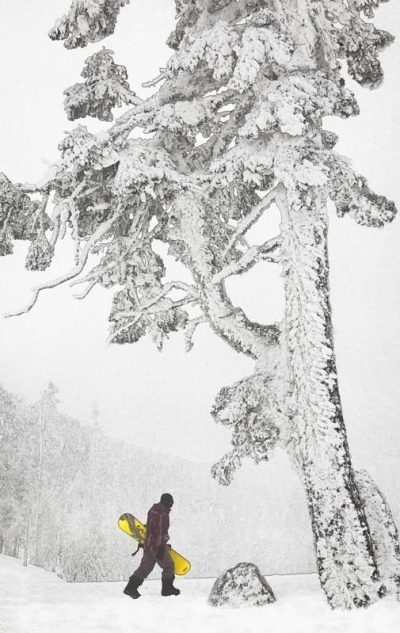 © R. Mac Holbert