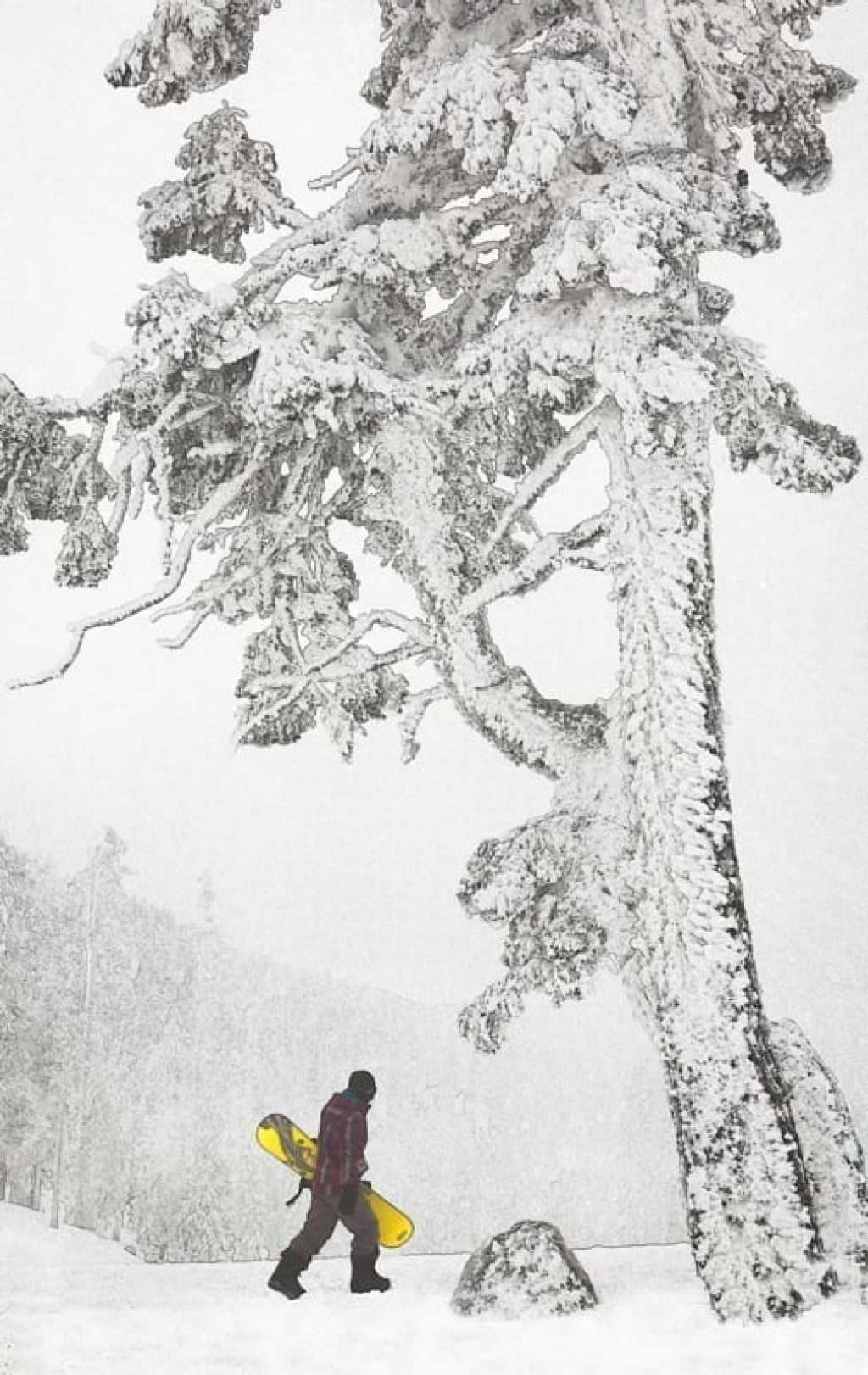 © R. Mac Holbert