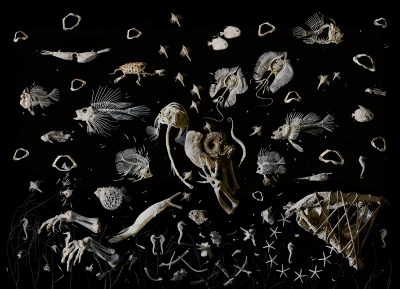 © Tara Sellios