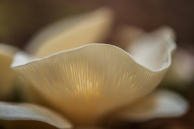 © Eddie Soloway